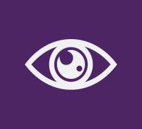 Our Vision